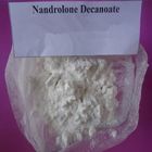 Pó cru anabólico 360-70-3 de Decanoate Deca Durabolin do Nandrolone do pó dos esteroides de 99%