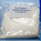 Pó cru anabólico 360-70-3 de Decanoate Deca Durabolin do Nandrolone do pó dos esteroides de 99%