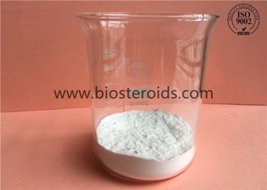 CAS 9012-76-4 suplementos ao ácido aminado/suplemento dourado ao chitosano da qualidade para a cura esbaforido