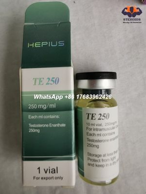 Testosterona injetável Enanthate 250mg/ml 315-37-7 dos esteroides anabólicos